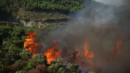 Ջերմուկի զորամասի մոտակայքում հրդեհից տուժած 5 զինծառայողի փրկարարները տեղափոխել են հիվանդանոց