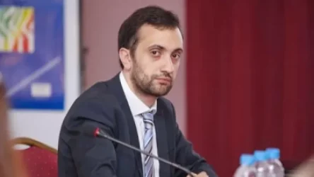 «Տպավորություն էր` Փաշինյանի իրական շնորհավորանքը մայրերին բռնությամբ բերման ենթարկելն էր». Իոաննիսյան