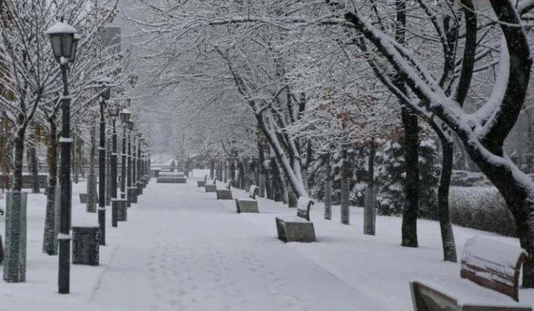 23 տարի առաջ այս օրը գրանցվել են պատմության ընթացքում դիտված ամենասաստիկ սառնամանիքները