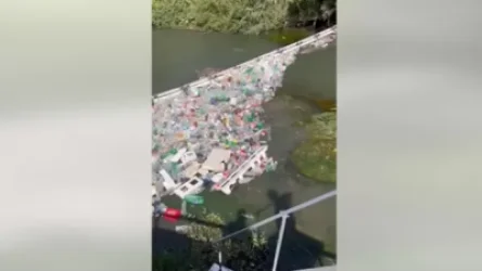 ՏԵՍԱՆՅՈՒԹ․ Երևանյան լիճն է, մեկ ամիս առաջ դարձյալ մաքրել էինք․ Երևանի քաղաքապետը կադրեր է հրապարակել