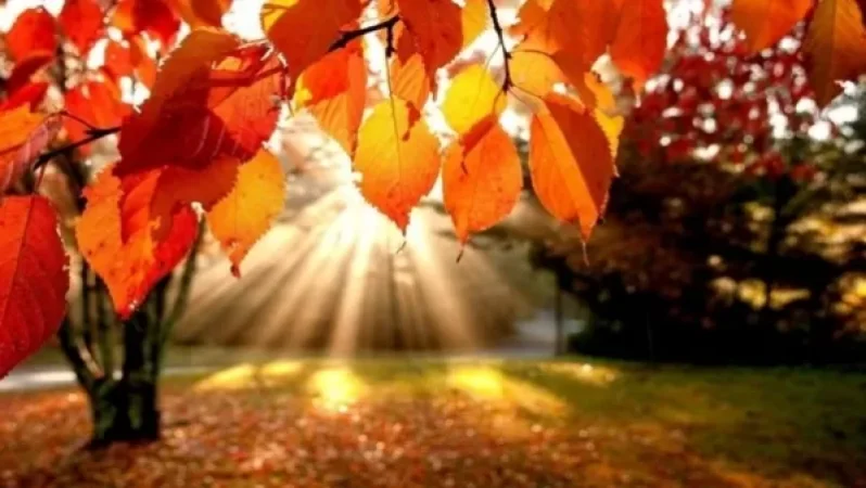 Ջերմաստիճանն ավելի է բարձրանալու