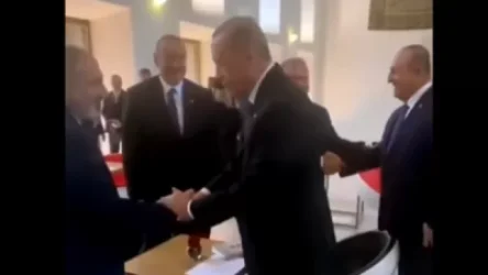 ՏԵՍԱՆՅՈՒԹ․ Ինչպես է են իրար բարևում Փաշինյանը, Էրդողանը, Ալիևն ու Մակրոնը