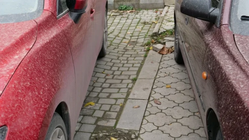 Շրջանների մեծ մասում «ցեխային անձրևներ» են տեղացել