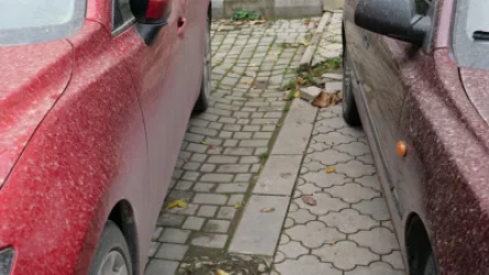 Շրջանների մեծ մասում «ցեխային անձրևներ» են տեղացել