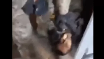 ՏԵՍԱՆՅՈՒԹ․ Հայ գերիների խոշտանգման վերաբերյալ երեկ տարածված տեսանյութը նոր է․ մանրամասներ