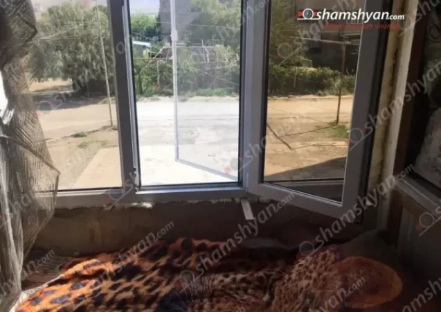 Շենքերից մեկի բնակարանի 2-րդ հարկի պատուհանից 1-ամյա երեխա է վայր ընկել