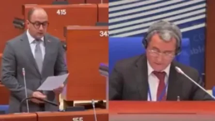 ՏԵՍԱՆՅՈՒԹ. ԵԽԽՎ-ում թուրք նախագահողն ընդհատել է Արցախի մասին Մամիջանյանի ելույթը