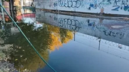 Նիկոլաևի փողոցներով տոննաներով արևածաղկի ձեթ է հոսում