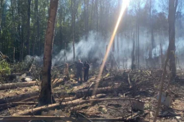 ՏԵՍԱՆՅՈՒԹ. Մոսկովյան շրջանում հայտնաբերվել են կործանված ինքնաթիռի անձնակազմի անդամների մարմինները