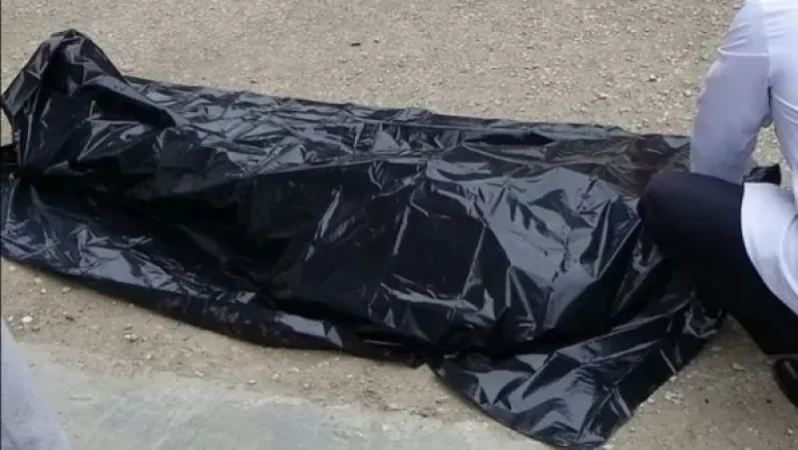 Դավթաշենի կամրջի տակ դիեր են հայտնաբերվել