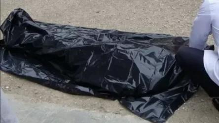 Դավթաշենի կամրջի տակ դիեր են հայտնաբերվել