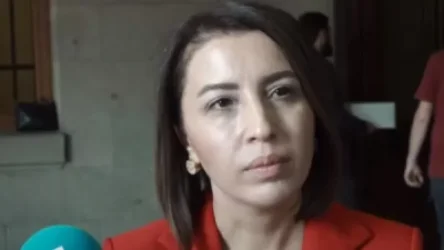 ՏԵՍԱՆՅՈՒԹ․ Տեղեր կան, որ ՊՆ-ն գիտի զինծառայողների մարմինների գտնվելու մասին․ ՄԻՊ