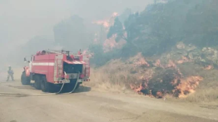 ՏԵՍԱՆՅՈՒԹ. Կրասնոդարի երկրամասում սարսափելի հրդեհի մակերեսը հասել է 32 հեկտարի