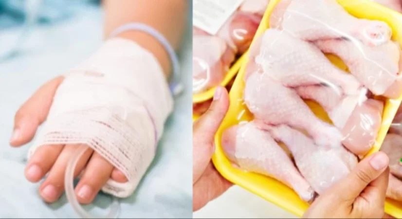 Ինչ է հայտնաբերվել հավի մսում և կոտլետում 4-ամյա երեխայի մահվան ելքով թունավորման դեպքից հետո