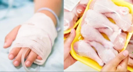 Ինչ է հայտնաբերվել հավի մսում և կոտլետում 4-ամյա երեխայի մահվան ելքով թունավորման դեպքից հետո