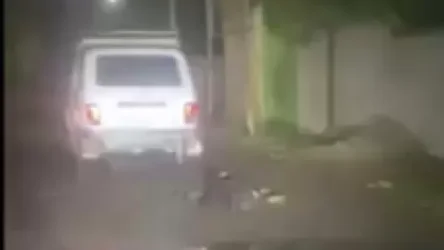 ՏԵՍԱՆՅՈՒԹ. Գառնիում շանը կապել են մեքենայից և քարշ տվել