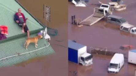 ՏԵՍԱՆՅՈՒԹ․ Ավստրալիայի արևելյան ափին լայնածավալ ջրհեղեղները շարունակվել են ութ ամիս