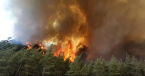 ՏԵՍԱՆՅՈՒԹ. Ստամբուլում անտառային հրդեհ է բռնկվել