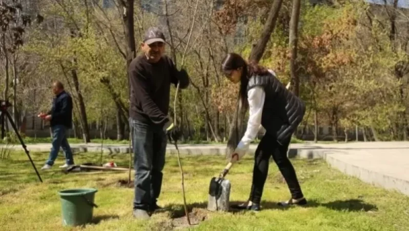 ՇՄՆ-ն` վաղը կայանալիք ծառատունկը քաղաքական ենթատեքստի տակ ներկայացնելու մասին