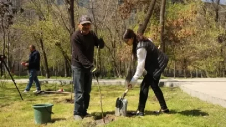 ՇՄՆ-ն` վաղը կայանալիք ծառատունկը քաղաքական ենթատեքստի տակ ներկայացնելու մասին