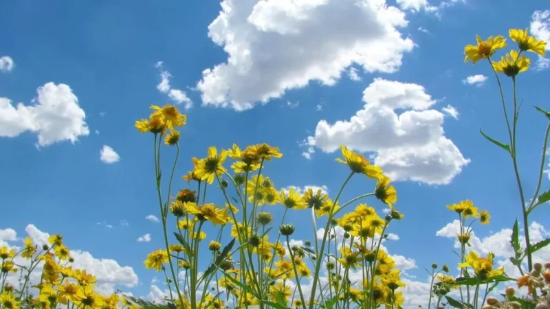 Ինչպիսին է լինելու առաջիկա օրերի եղանակը