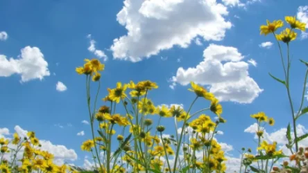 Ինչպիսին է լինելու առաջիկա օրերի եղանակը