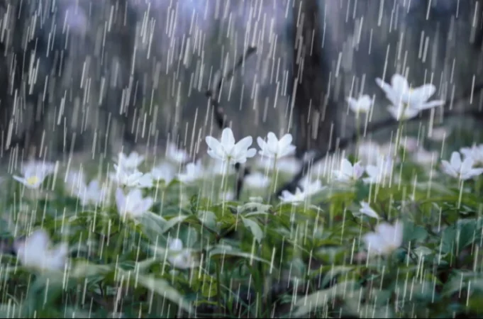 ԵՂԱՆԱԿ. Օդի ջերմաստիճանը կնվազի