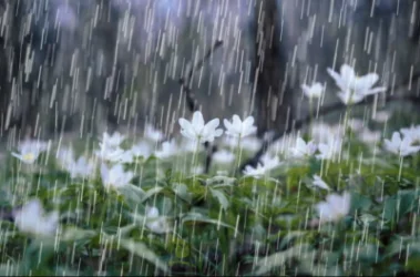 ԵՂԱՆԱԿ. Օդի ջերմաստիճանը կնվազի