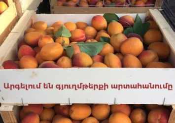 Հայկական կողմը խոչընդոտում է դեպի ՌԴ գյուղմթերքի արտահանումը․ պատգամավոր