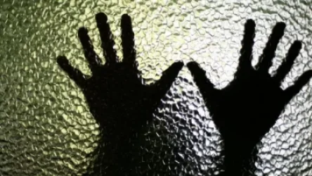 Գերմանիայում տատն ու պապը 8 տարի շարունակ փակի տակ են պահել թոռնուհուն