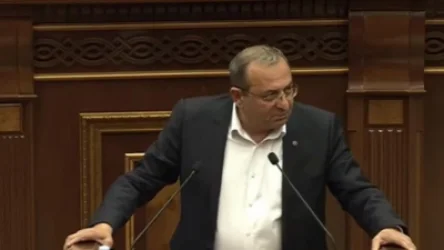 «Օլիգարխներն իշխանության առաջին շարքերում են»․ Արծվիկ Մինասյան