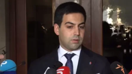 ՏԵՍԱՆՅՈՒԹ․ Մարդիկ ինչպես են լրացնելու իրենց հայտարարագրերը․ ՊԵԿ նախագահը մանրամասնում է