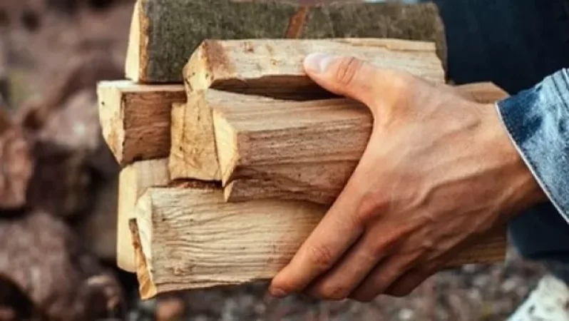 Ուկրաինայում արգելվել է վառելափայտի արտահանումը