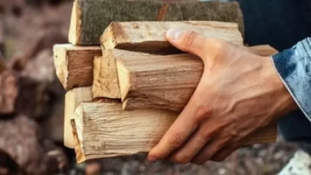 Ուկրաինայում արգելվել է վառելափայտի արտահանումը