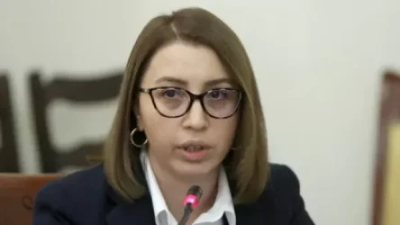 ՄԻՊ-ը պարզաբանումներ է պահանջել ոստիկանությունից. ինչ է կատարվել Լոռու մարզում