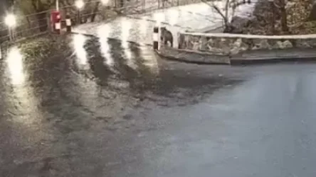 ՏԵՍԱՆՅՈՒԹ․ Արջուկը Գառնիի փողոցներում․ Կոտայքի մարզպետը կադրեր է հրապարակել