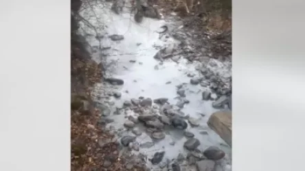 ՏԵՍԱՆՅՈՒԹ. Ողջի գետը 3 օր է այս գույնն է ստացել. ահազանգ