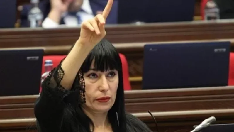 Կենդանիներին խոշտանգելու համար մինչև 3 տարի ազատազրկում. առաջարկում է ԲՀԿ-ն