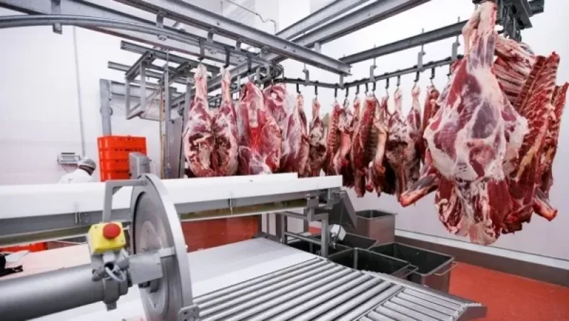 Կեղծ փաստաթղթեր` սպանդանոցներում. Տասնյակ քրեական վարույթներ են նախաձեռնվել