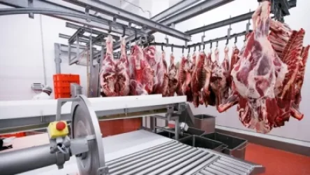 Կեղծ փաստաթղթեր` սպանդանոցներում. Տասնյակ քրեական վարույթներ են նախաձեռնվել