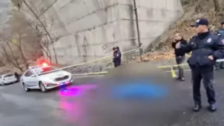 Սատանա ա մտել մեջս՝ օձը․ այսօր ևս Կիևյան կամրջի տակ դի է հայտաբերվել