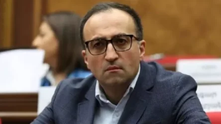 ՏԵՍԱՆՅՈՒԹ. «Ինչպե՞ս է ոստիկանության աշխատակիցը որոշելու՝ արդյոք ես ունե՞մ ID քարտի կարիք»․ Արսեն Թորոսյանը`  փոխոստիկանապետին