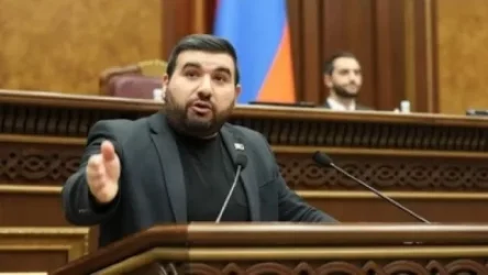 «Թողեն, գնաք 5 հատ օպերատորով պատի մեջ մի հատ հեղույս մտցնեք, հանեք». Ալեքսանյան