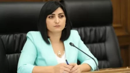 «Ադրբեջանի Մարդու իրավունքների հարցերով հանձնաժողովի նախագահը խոսում է Երևանին տիրանալու մասին». Թովմասյանի կոշտ գրառումը