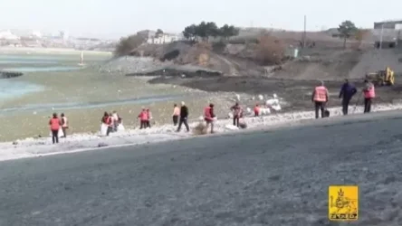 ՏԵՍԱՆՅՈՒԹ. Երևանյան լճից օրական 10-12 բեռնատար աղբ է տեղափոխվում