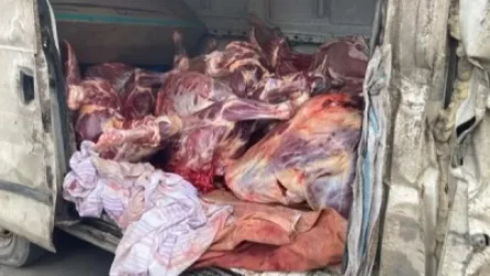 7 ձի է մորթել և վաճառել քաղաքացուն. պատասխանատվության կենթարկվեն