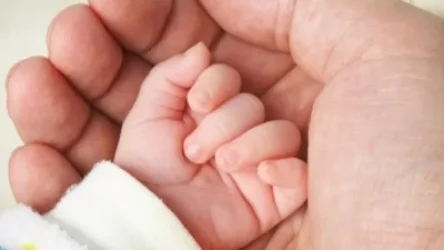 «Ժողովուրդ»․ Քննչական կոմիտեն ապօրինի որդեգրման գործով մեղադրյալին գործարք է առաջարկել