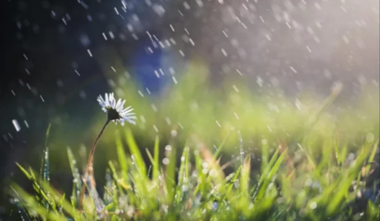 Ինչ եղանակ սպասել առաջիկա օրերին