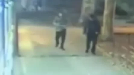 ՏԵՍԱՆՅՈՒԹ. Կինը տանն է եղել, երբ գողերը փորձել են մտնել բնակարան կողոպտելու