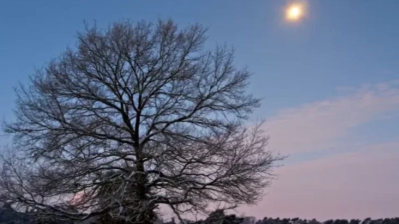 Օդի ջերմաստիճանը կբարձրանա